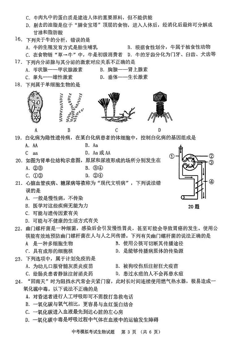 2024年广东省普宁市中考一模考试生物试题03