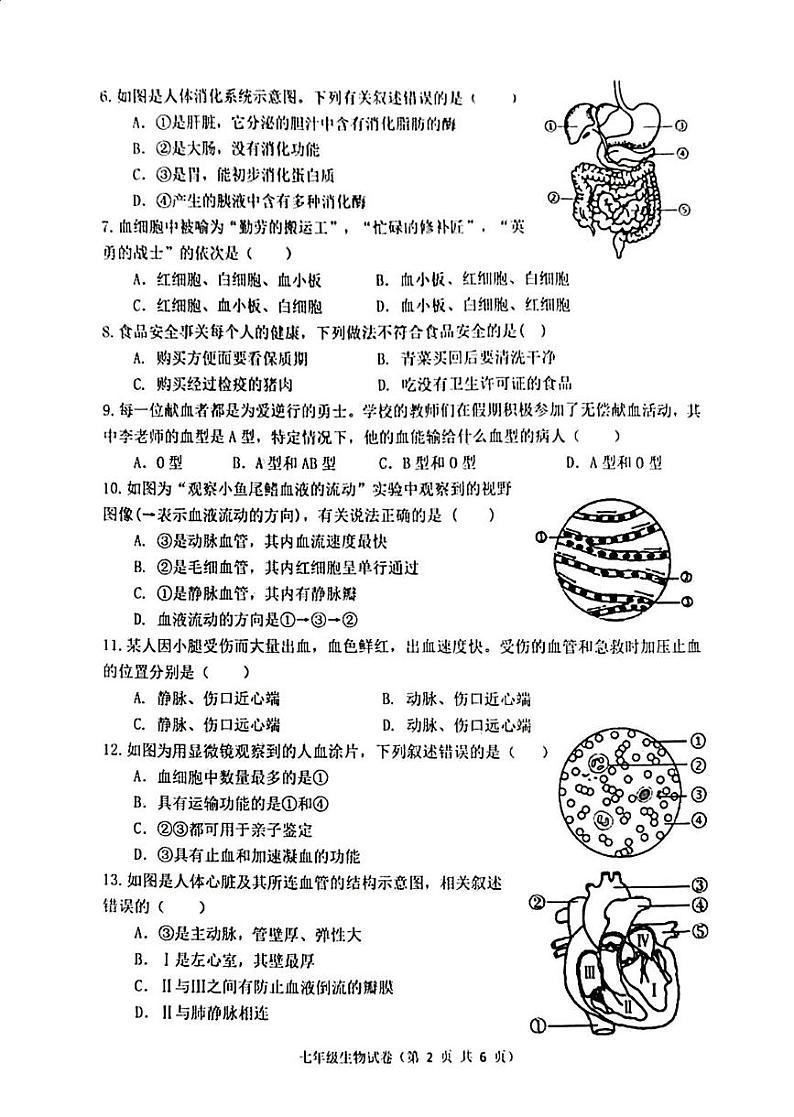 河北省唐山市丰润区2023-2024学年七年级下学期5月期中生物试题02