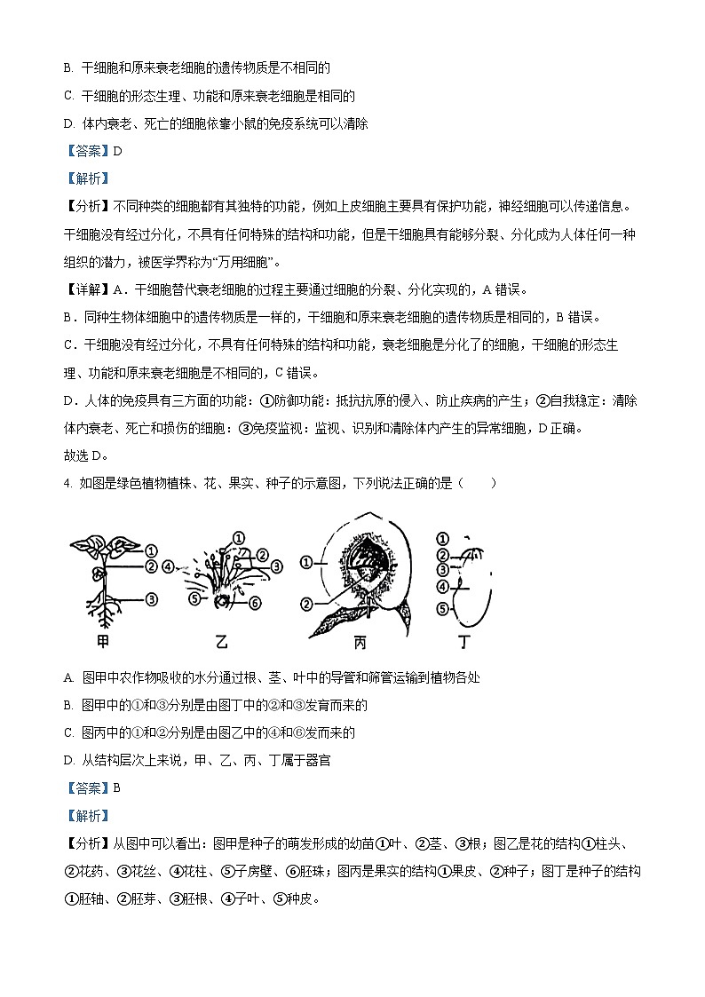 山东省日照市北京路中学2023-2024学年八年级下学期期中生物试题(解析版)第3页