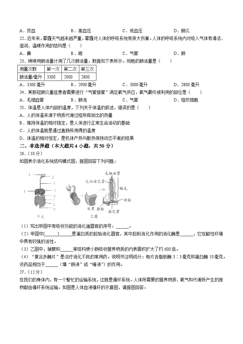 安徽省滁州市凤阳县官塘中学2023-2024学年七年级下学期4月期中生物试题第3页