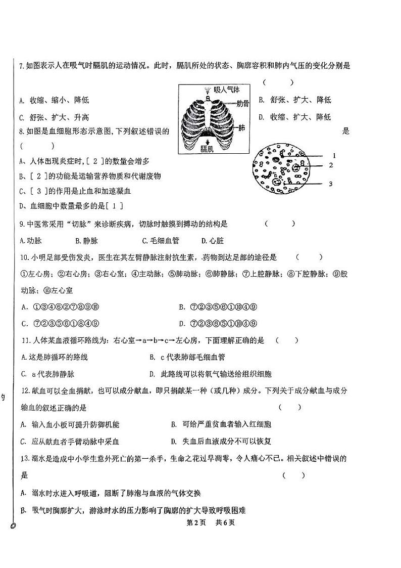 辽宁省丹东市振兴区2023-2024学年七年级下学期5月期中生物试题第2页