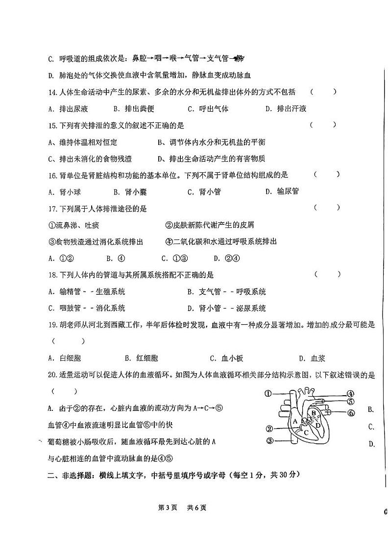 辽宁省丹东市振兴区2023-2024学年七年级下学期5月期中生物试题第3页