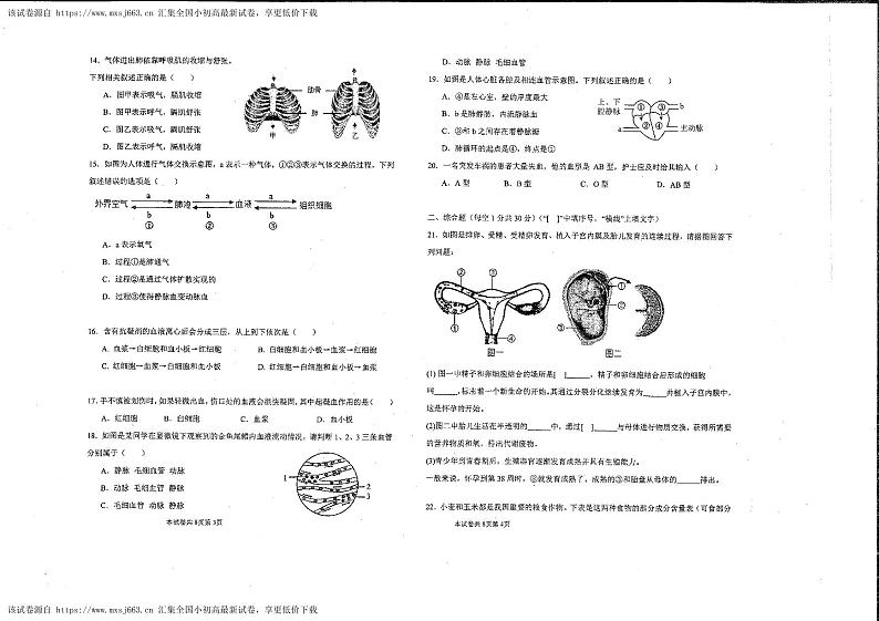 河南师范大学附属中学集团校期中联考2023-2024学年七年级下学期4月期中生物试题02