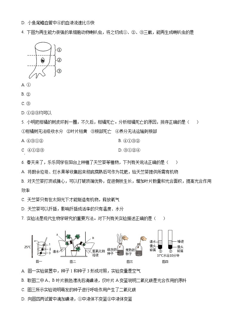 2024年湖南省娄底市双峰县中考模拟预测生物试题(原卷版+解析版)02