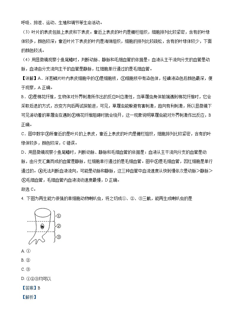 2024年湖南省娄底市双峰县中考模拟预测生物试题(原卷版+解析版)03