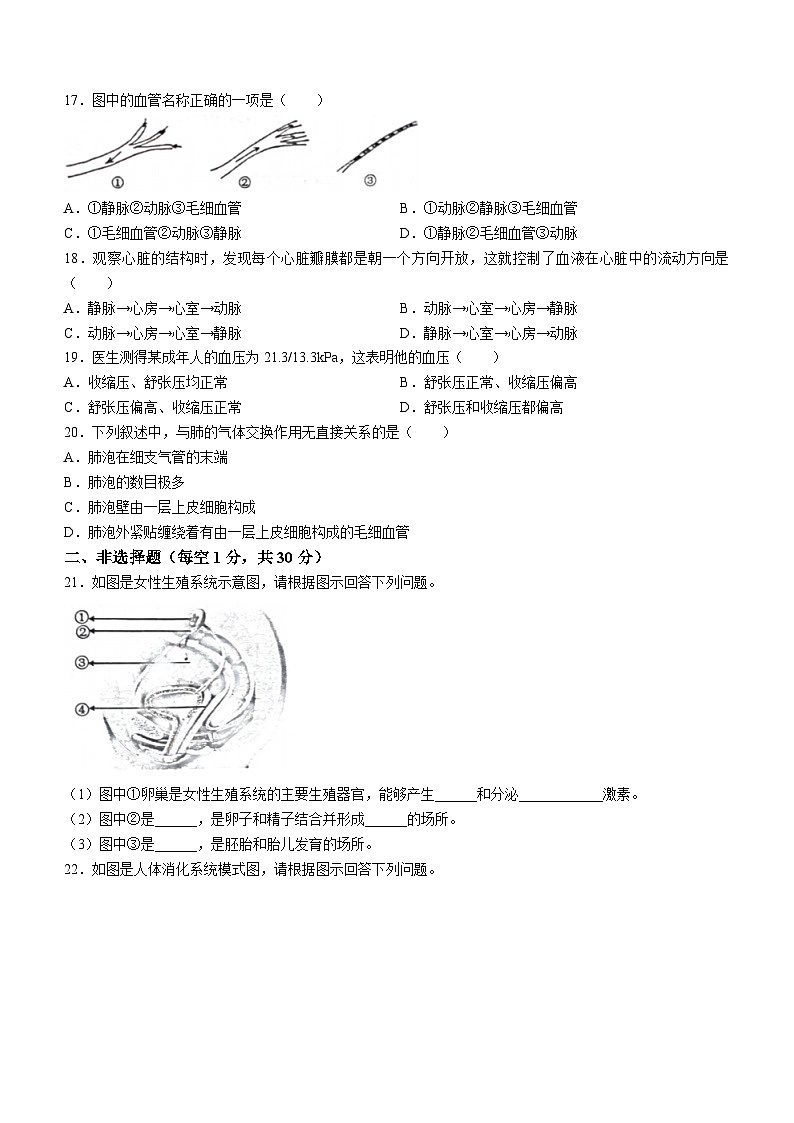 ,河南省洛阳市宜阳县2023-2024学年七年级下学期期中考试生物试卷03