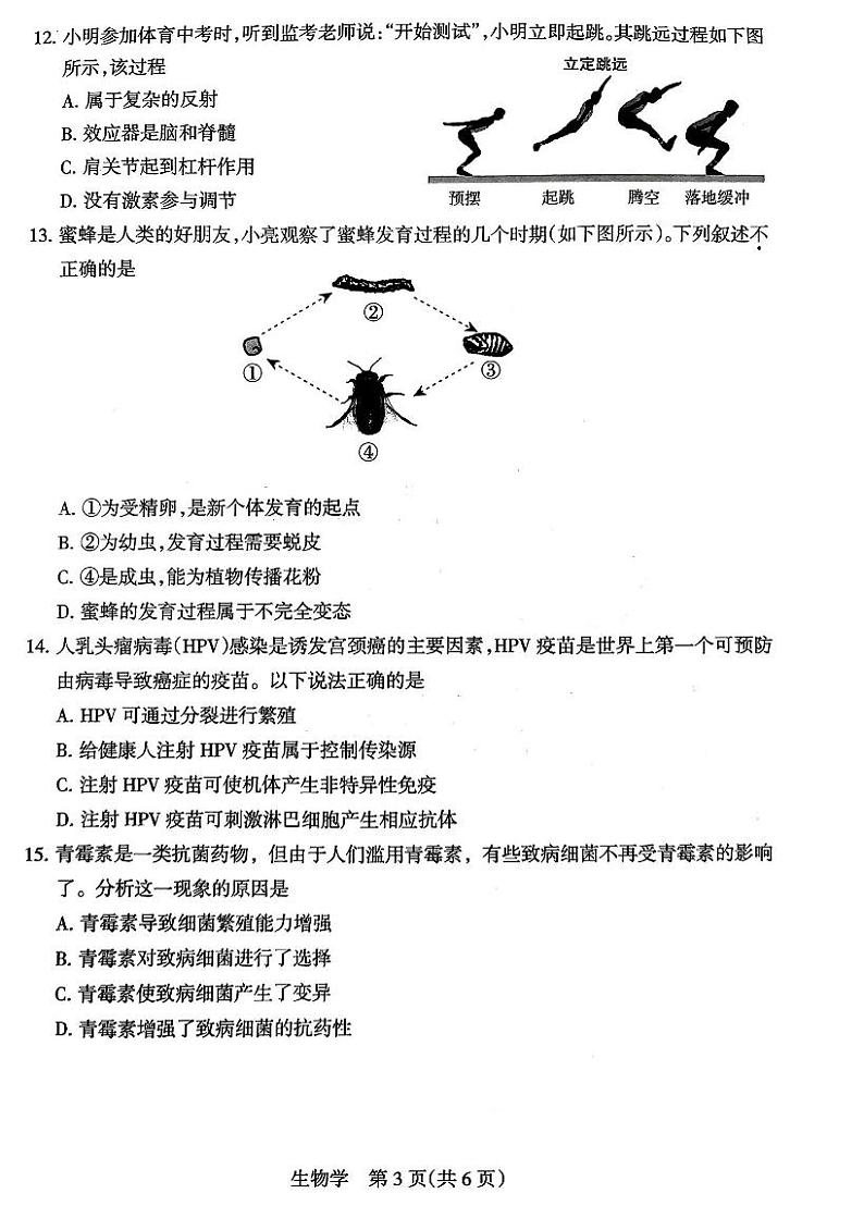 2024年山西省初中九年级中考适应性测试(二)生物试卷+答案03