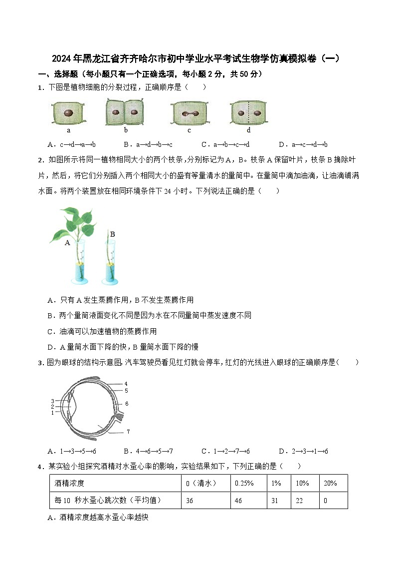 2024年黑龙江省齐齐哈尔市初中学业水平考试生物学仿真模拟卷(一)+01
