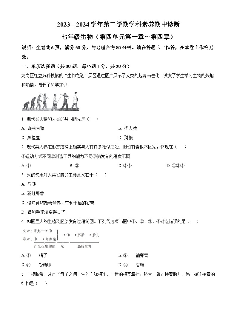 广东省深圳市龙岗区2023-2024学年七年级下学期期中生物试题(原卷版)第1页