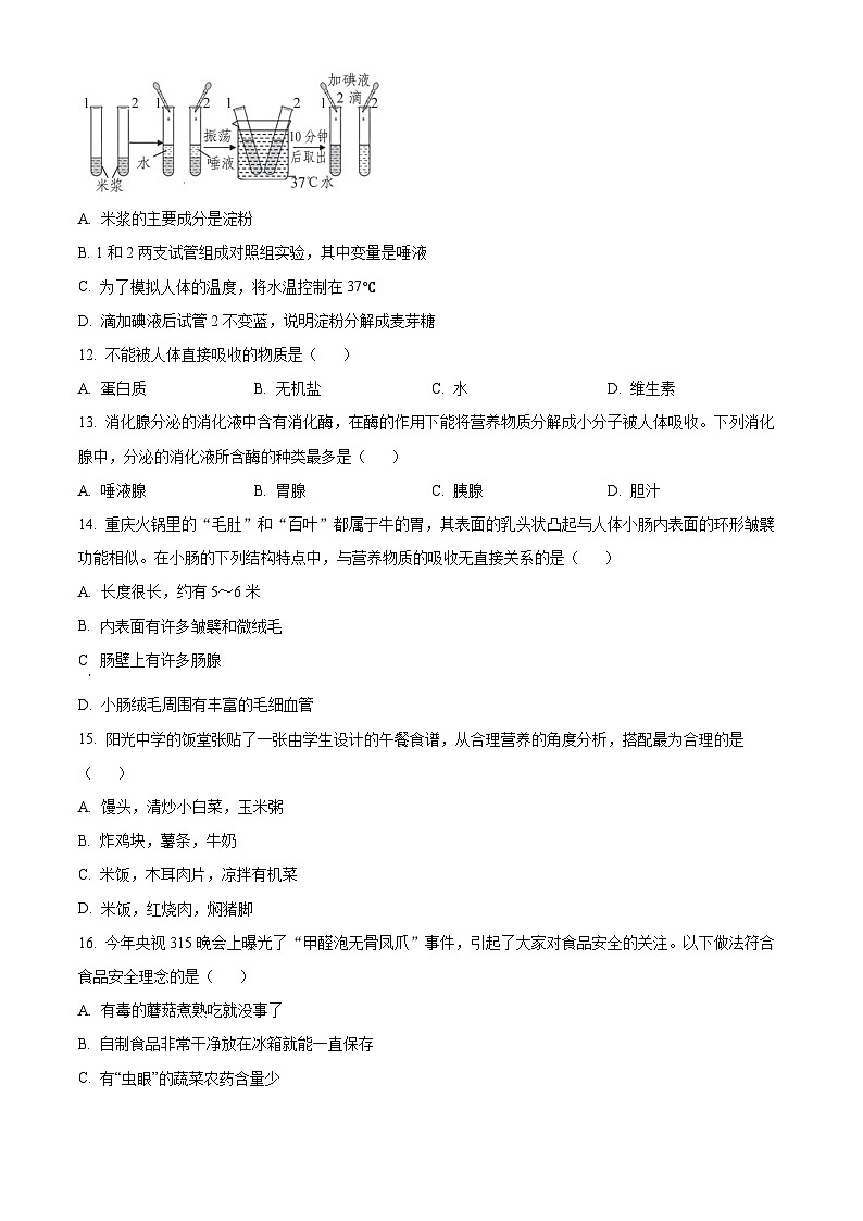 广东省深圳市龙岗区2023-2024学年七年级下学期期中生物试题(原卷版)第3页