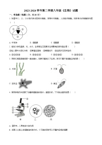 河南师范大学附属中学集团校2023-2024学年八年级下学期期中生物试题（原卷版+解析版）