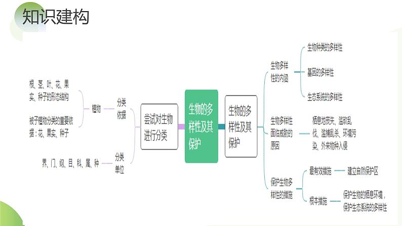 专题19 生物多样性及其保护(课件) -2024年中考生物一轮复习课件(全国通用)第8页