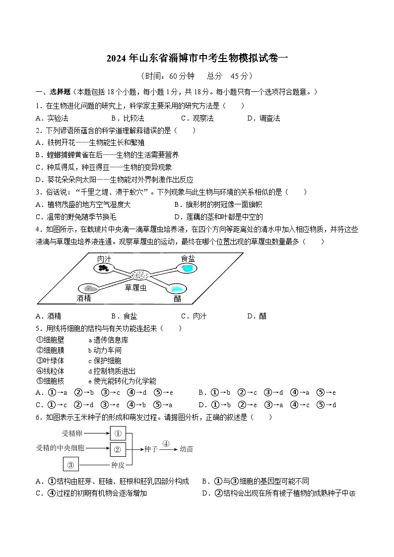 177,2024年山东省淄博市生物中考模拟试卷一第1页