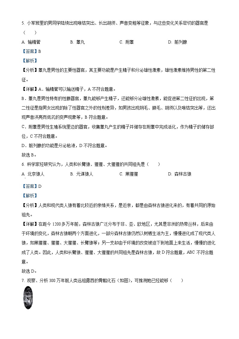 227,山西省太原市2023-2024学年七年级下学期期中生物试题第3页