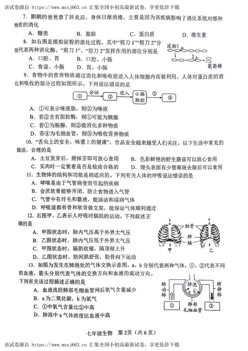 255,河南省南阳市2023-2024学年七年级下学期4月期中生物试题02