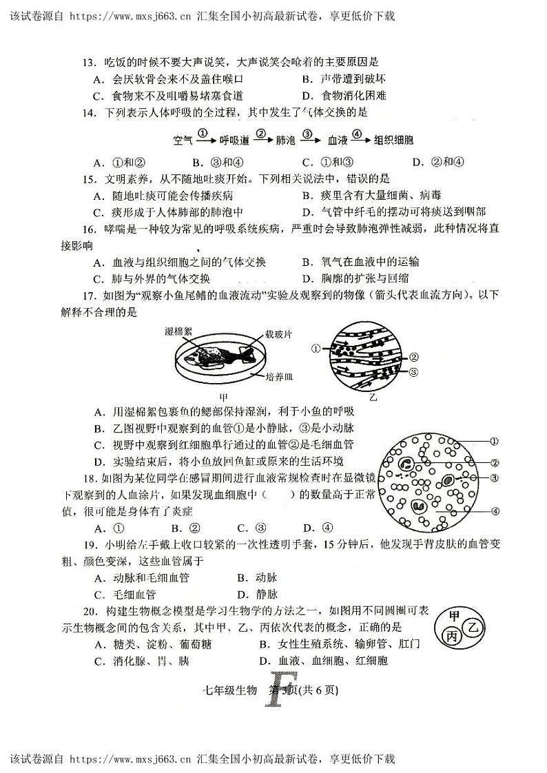 270,河南省南阳市方城县2023-2024学年七年级下学期期中生物试题03