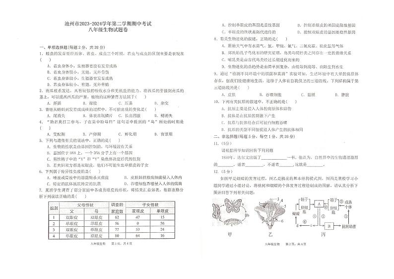 265,安徽省池州市2023-2024学年八年级下学期4月期中生物试题第1页