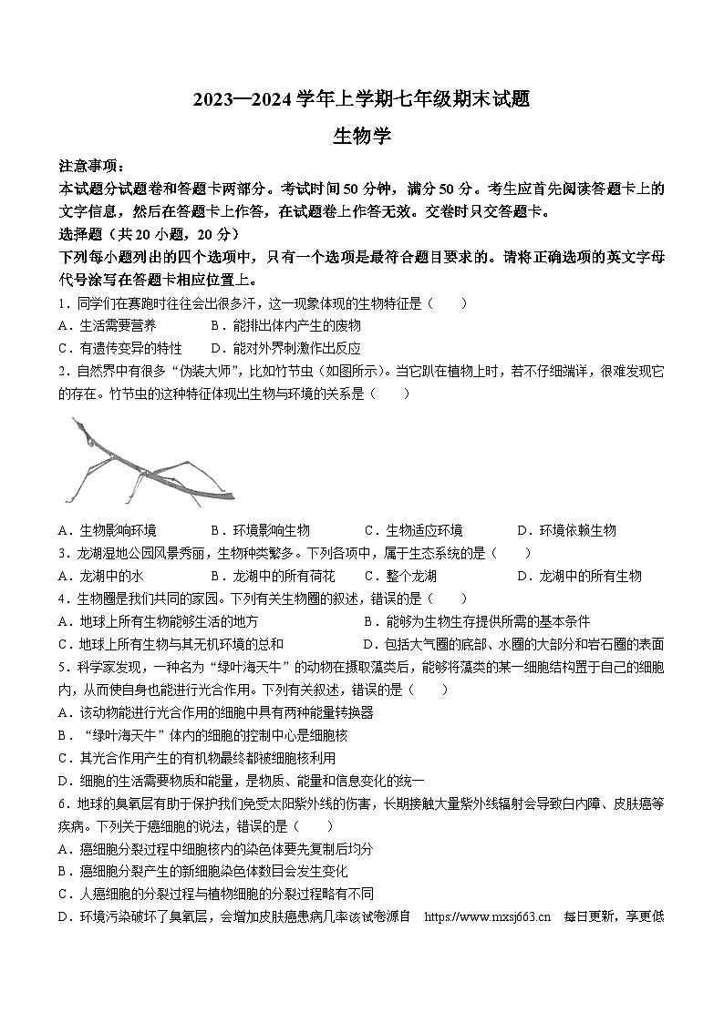 10,河南省郑州市二中共同体2023-2024学年七年级上学期期末生物试题第1页