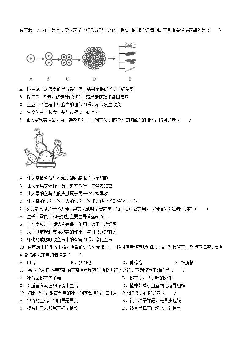 10,河南省郑州市二中共同体2023-2024学年七年级上学期期末生物试题第2页