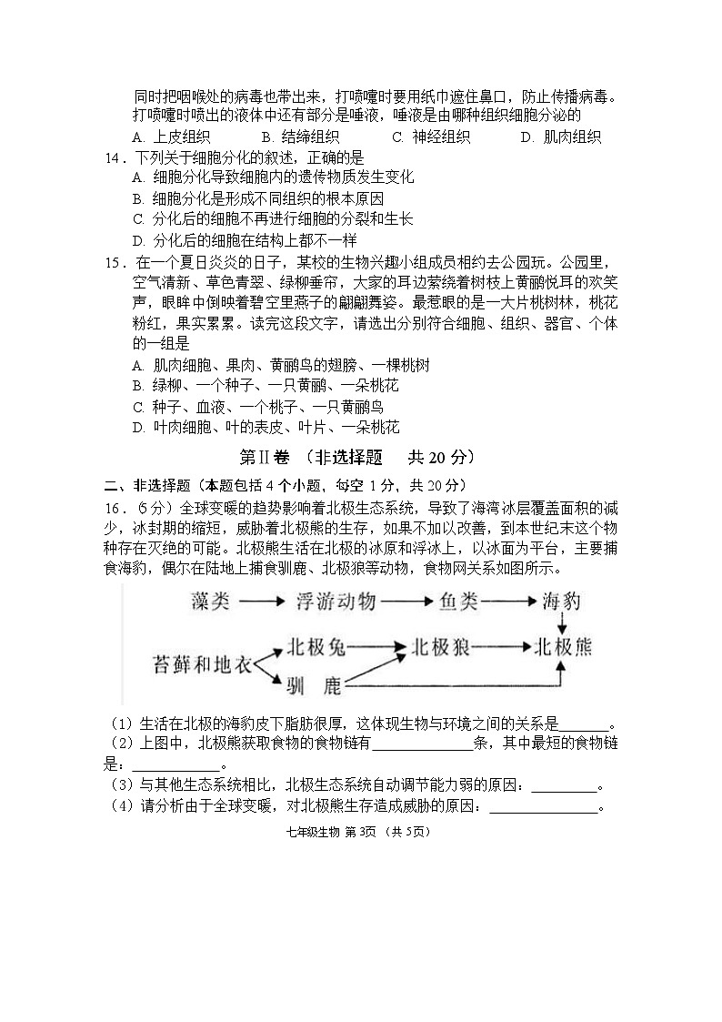27,内蒙古呼和浩特市回民区2023-2024学年七年级上学期期中考试生物试题03