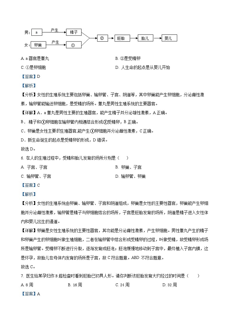 67，山東省臨沂市費縣第五中學2023-2024學年七年級下學期第一次月考生物試題第3頁