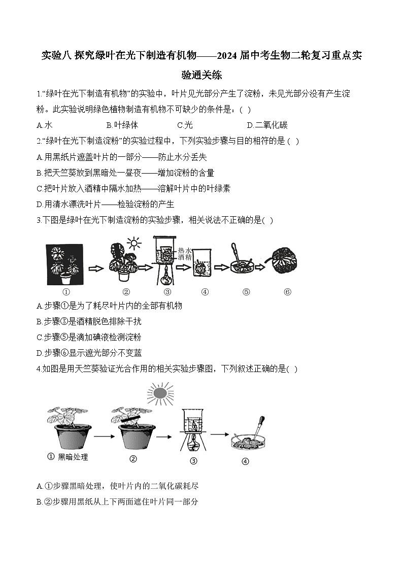 2024年中考生物二轮复习重点实验通关练——实验八 探究绿叶在光下制造有机物第1页