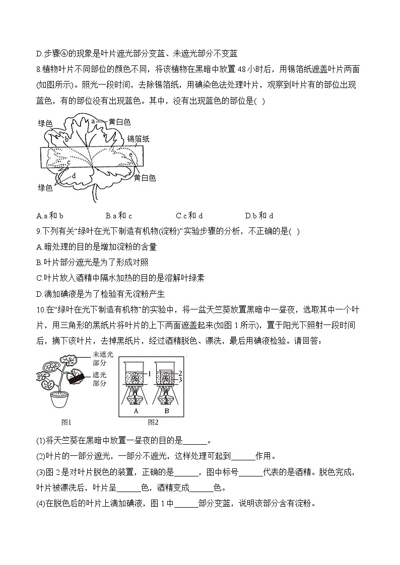 2024年中考生物二轮复习重点实验通关练——实验八 探究绿叶在光下制造有机物第3页