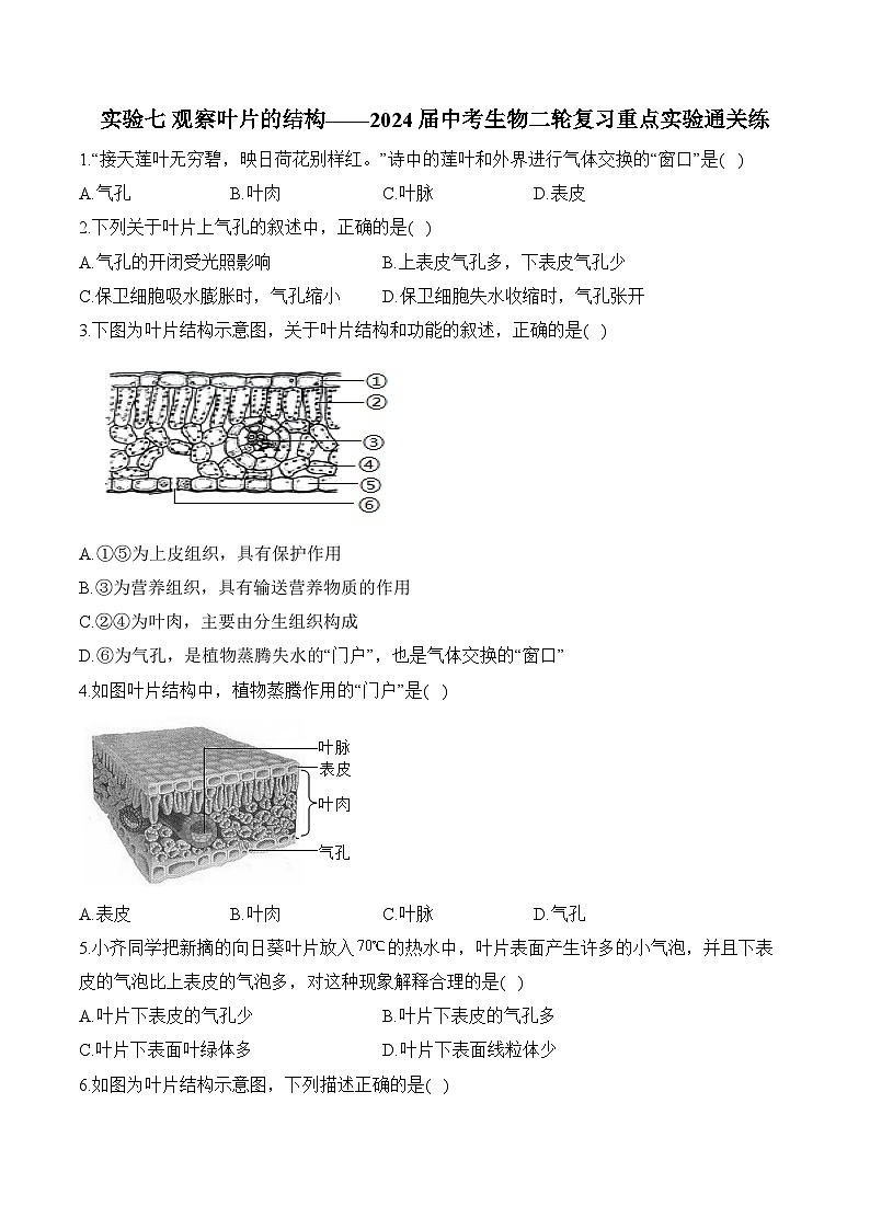 2024年中考生物二轮复习重点实验通关练——实验七 观察叶片的结构第1页