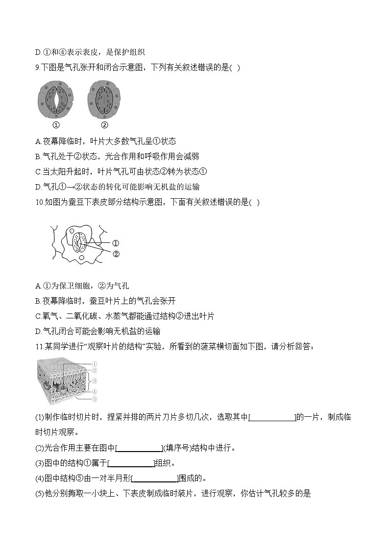 2024年中考生物二轮复习重点实验通关练——实验七 观察叶片的结构第3页