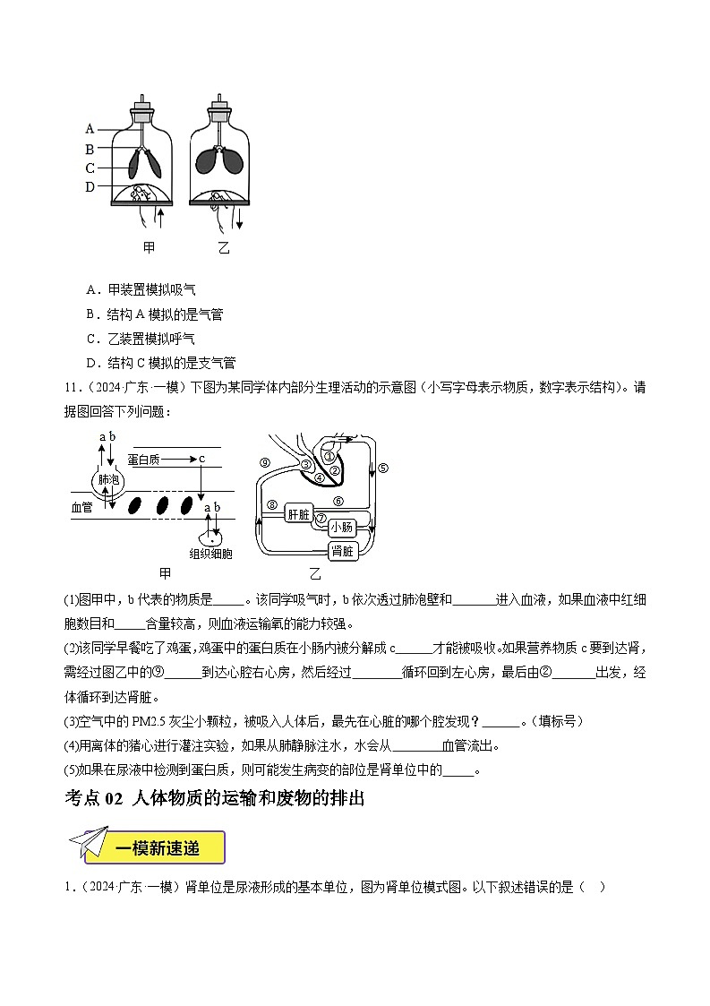 2024年广东省中考生物一模试题分类汇编-专题05 生物圈中的人(原卷版)第3页