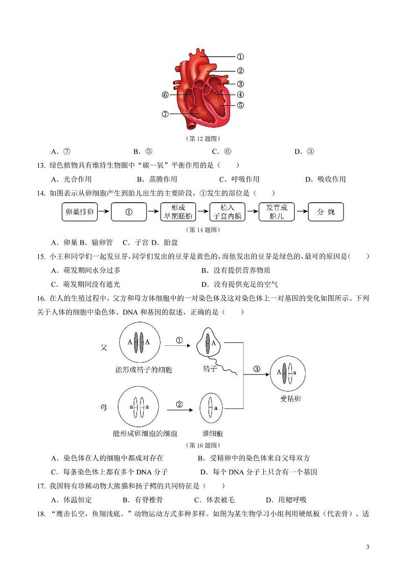 2024年中考押题预测卷(青岛卷)生物(考试版)第3页