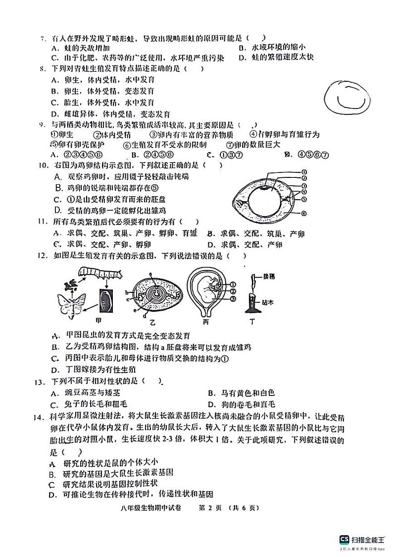 山东省德州市宁津县第三实验中学、第六实验中学2023-2024学年八年级下学期5月期中生物试题第2页