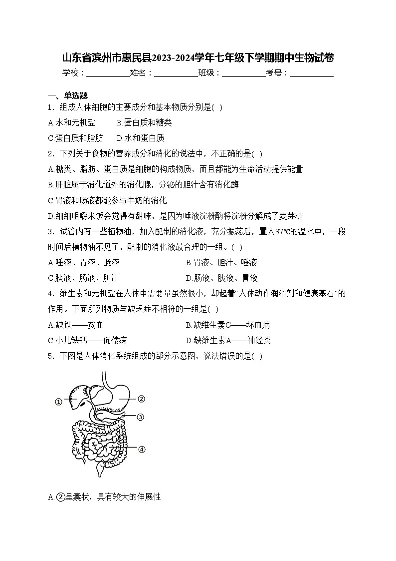 山东省滨州市惠民县2023-2024学年七年级下学期期中生物试卷(含答案)第1页