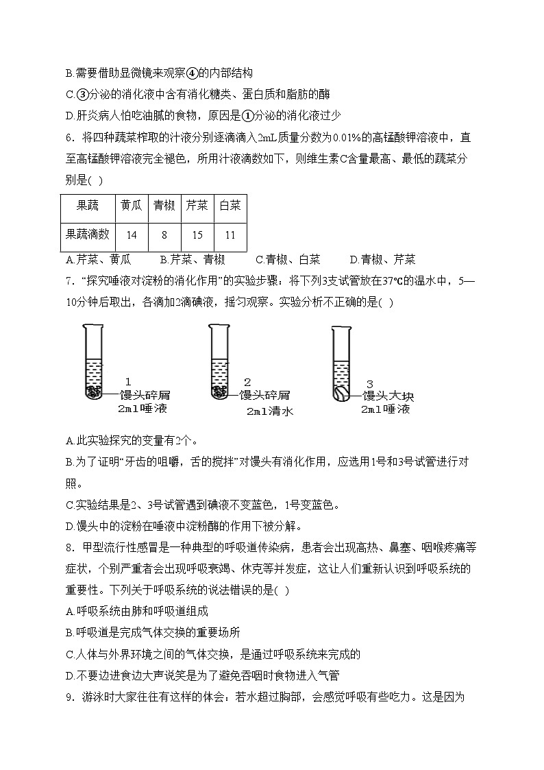 山东省滨州市惠民县2023-2024学年七年级下学期期中生物试卷(含答案)第2页