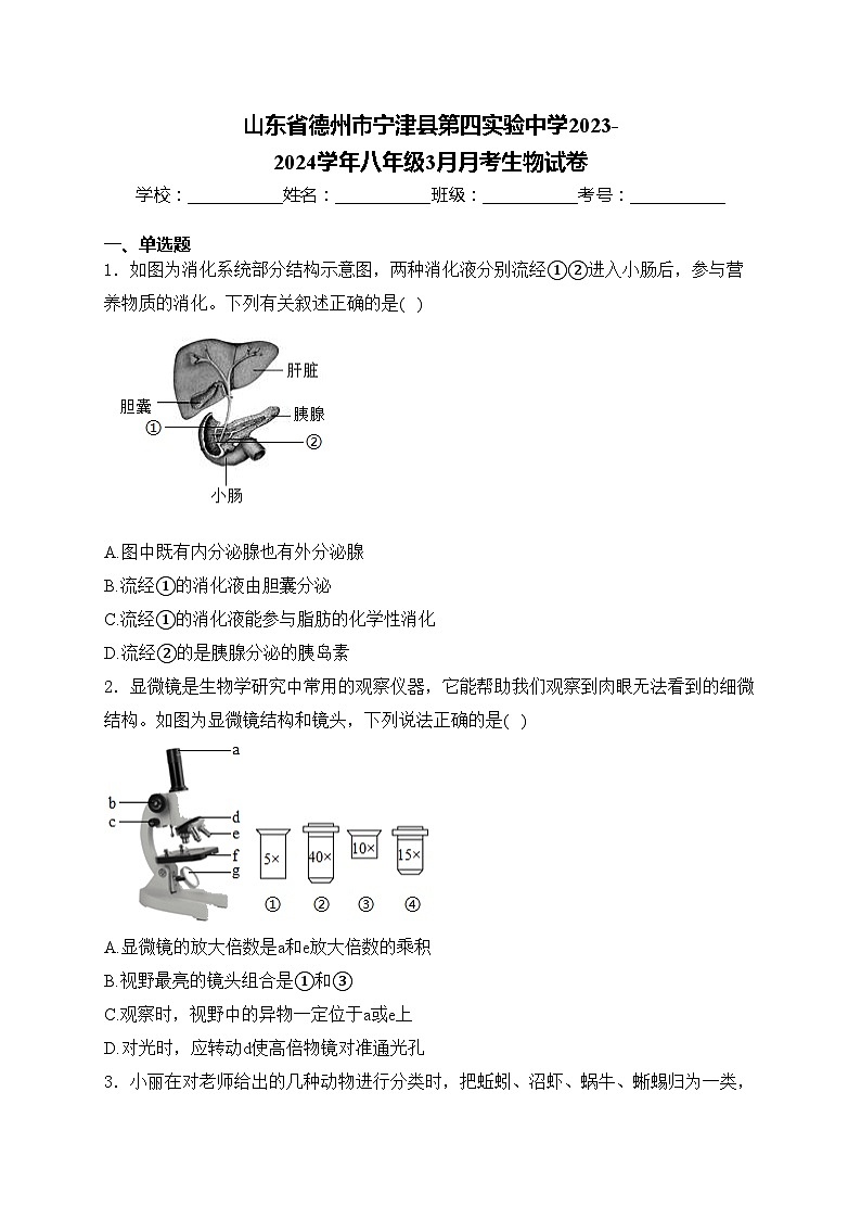 山东省德州市宁津县第四实验中学2023-2024学年八年级3月月考生物试卷(含答案)第1页