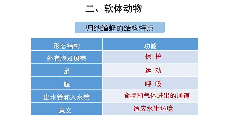 5.1.3 软体动物和节肢动物(第1课时) 课件第7页