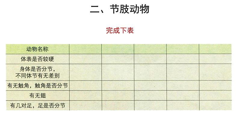 5.1.3 软体动物和节肢动物(第2课时) 课件第4页