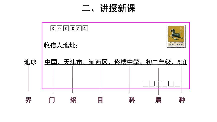 6.1.2 從種到界 課件第5頁