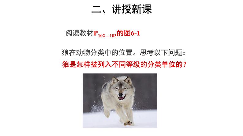 6.1.2 从种到界 课件第7页