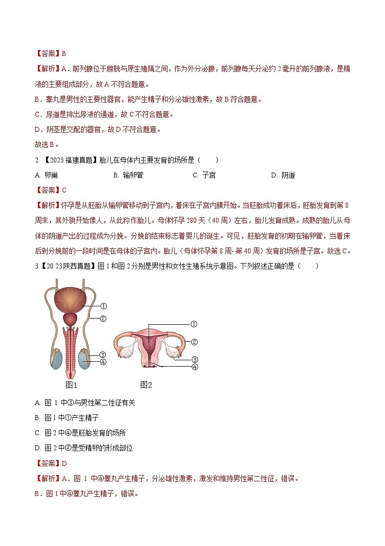 2024年中考生物真题分项汇编(全国通用)-专题06 人的由来-学易金卷: (第1期)(原卷版+解析版)02