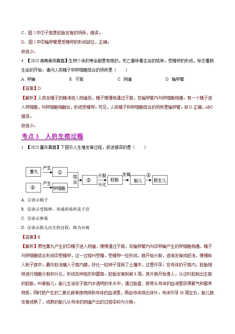 2024年中考生物真题分项汇编(全国通用)-专题06 人的由来-学易金卷: (第1期)(原卷版+解析版)03