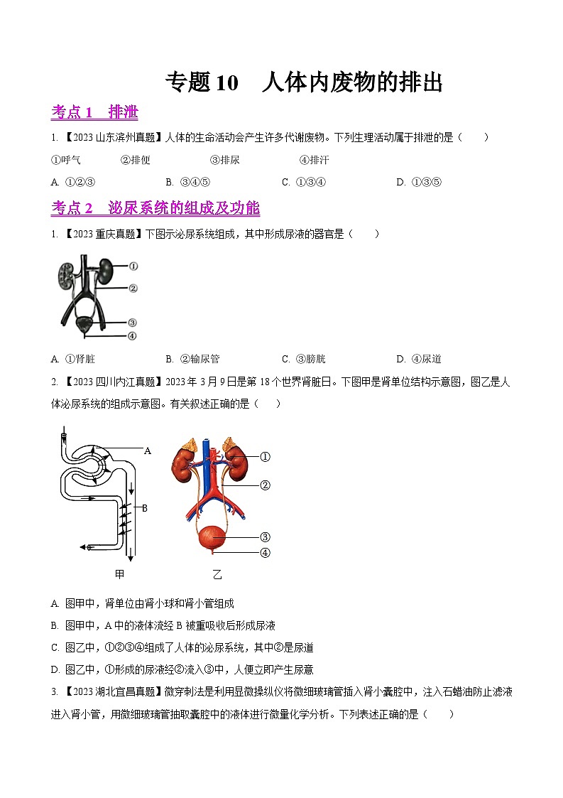 2024年中考生物真题分项汇编(全国通用)-专题10 人体内废物的排出-学易金卷:(第1期)(原卷版)第1页