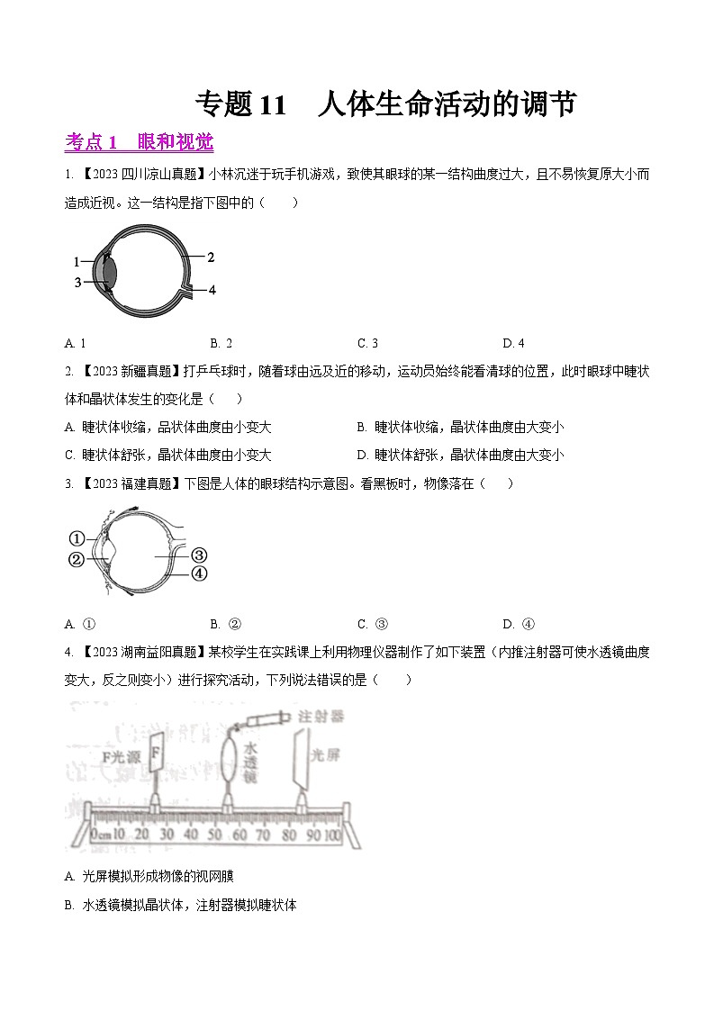 2024年中考生物真题分项汇编(全国通用)-专题11 人体生命活动的调节- 学易金卷:(第1期)(原卷版)第1页