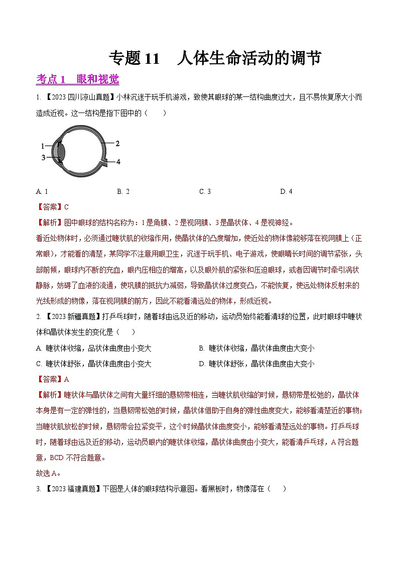 2024年中考生物真题分项汇编(全国通用)-专题11 人体生命活动的调节- 学易金卷:(第1期)(解析版)第1页