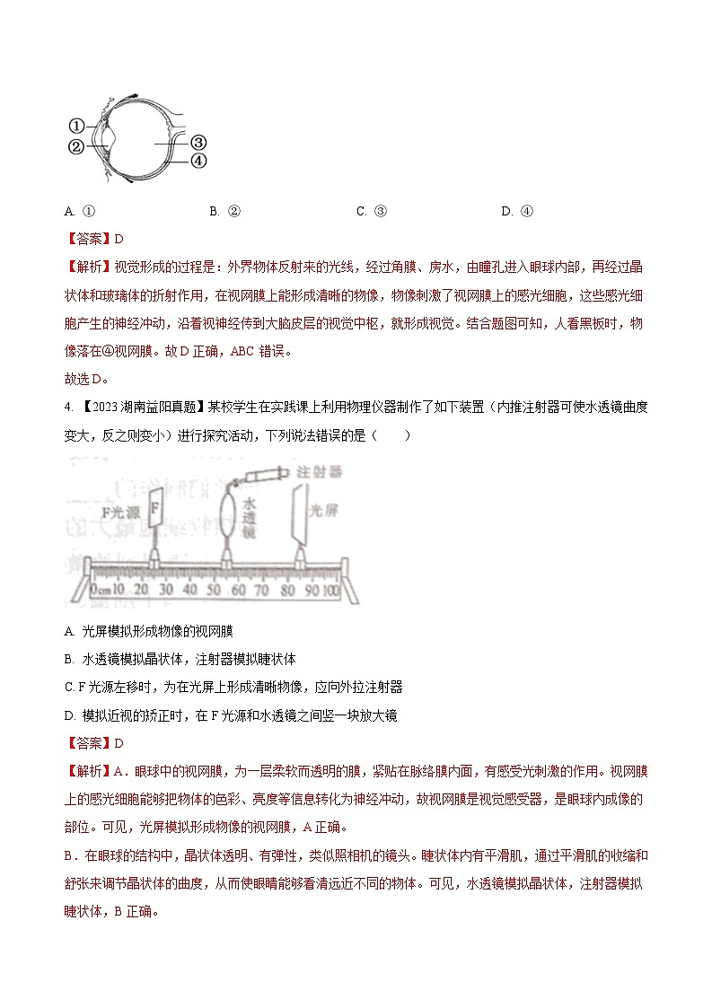 2024年中考生物真题分项汇编(全国通用)-专题11 人体生命活动的调节- 学易金卷:(第1期)(解析版)第2页