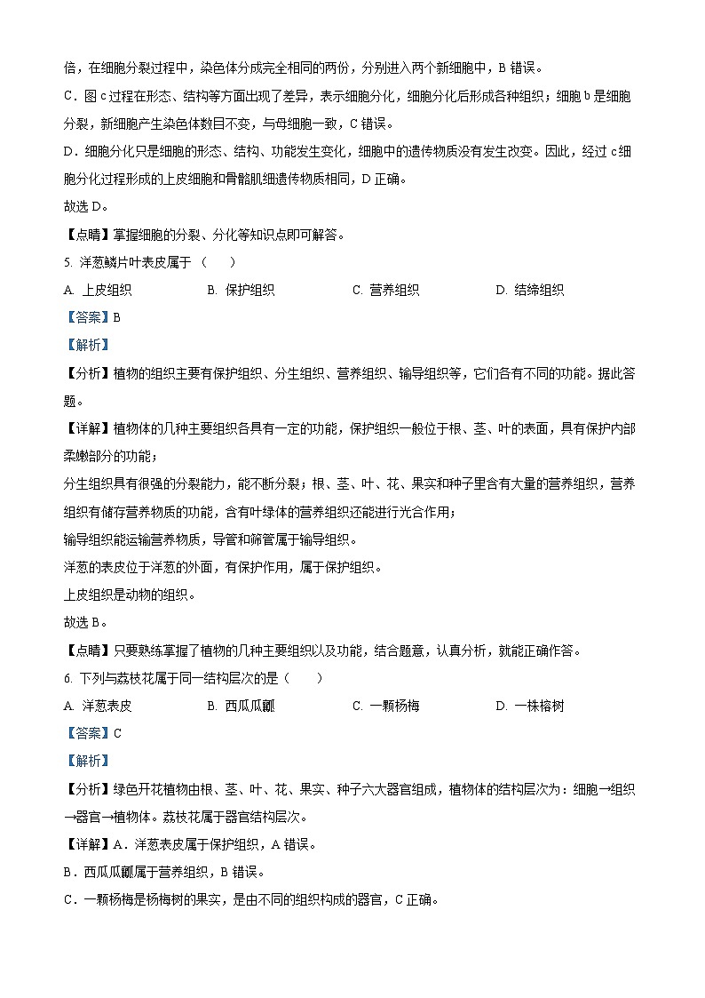 福建省永春第一中学2023-2024学年八年级下学期期中生物试题(原卷版+解析版)03