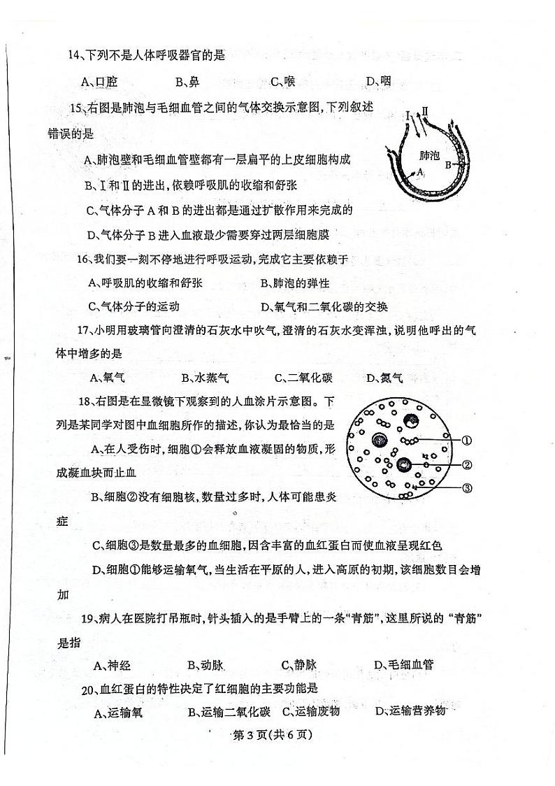 辽宁省丹东市凤城市2023-2024学年七年级下学期5月期中生物试题第3页