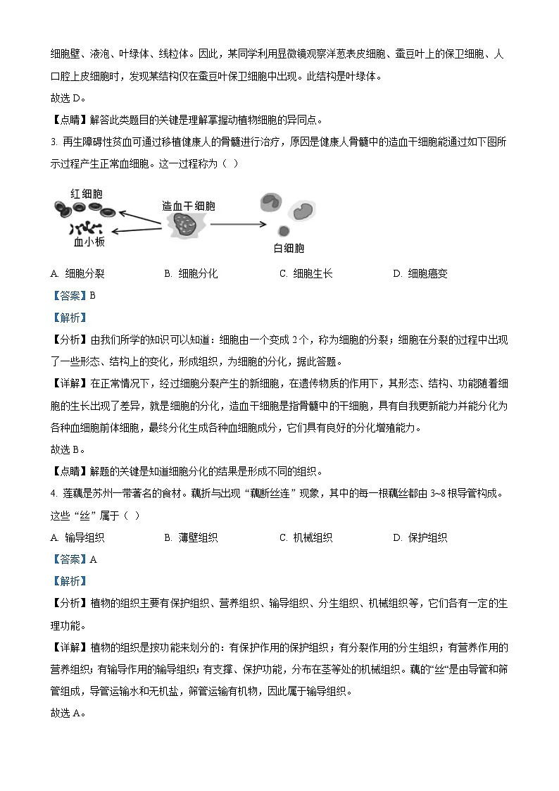 初中中考模拟考试试卷(解析版)第2页