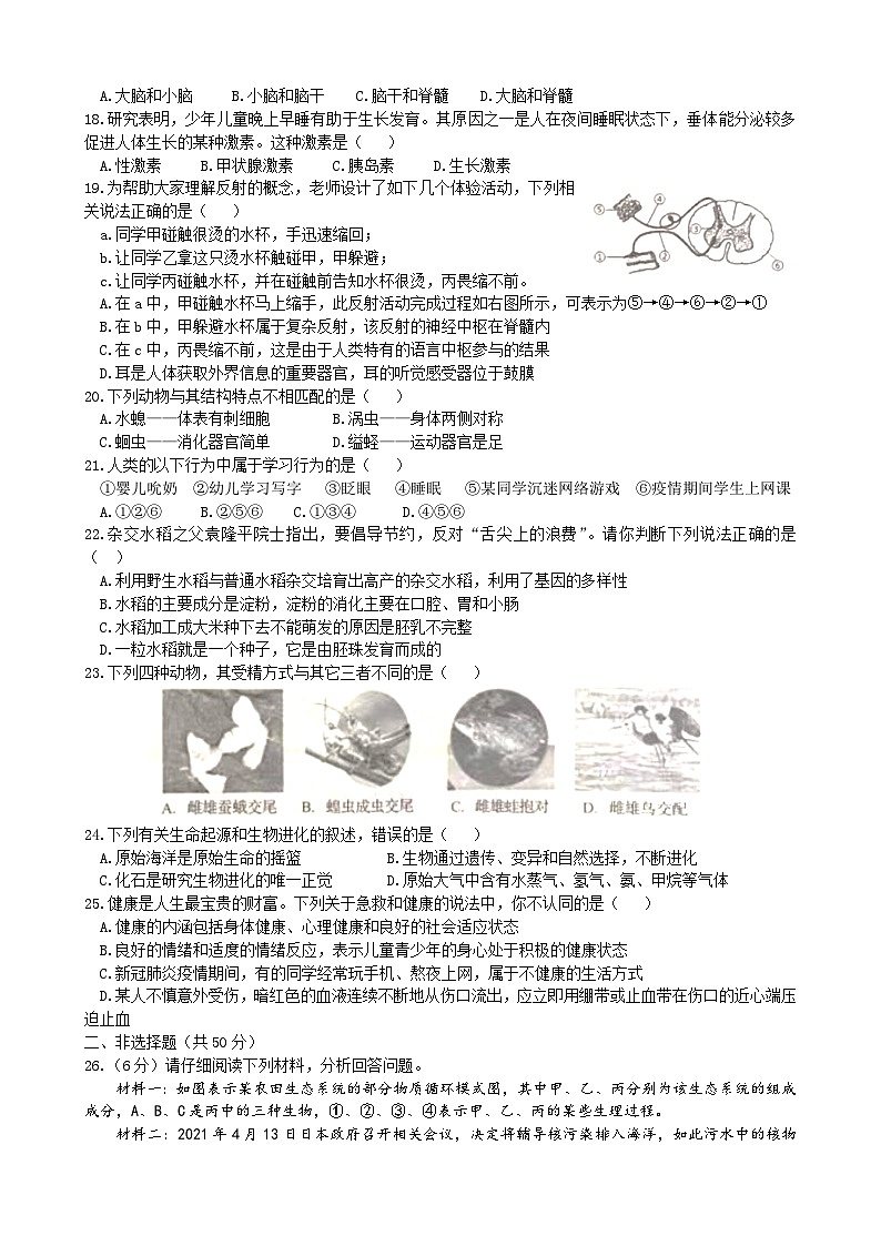 初中学业水平生物模拟考试 (4)第3页