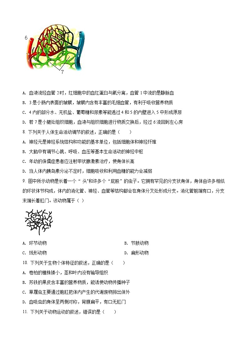 初中学业水平生物模拟考试 (2)第3页